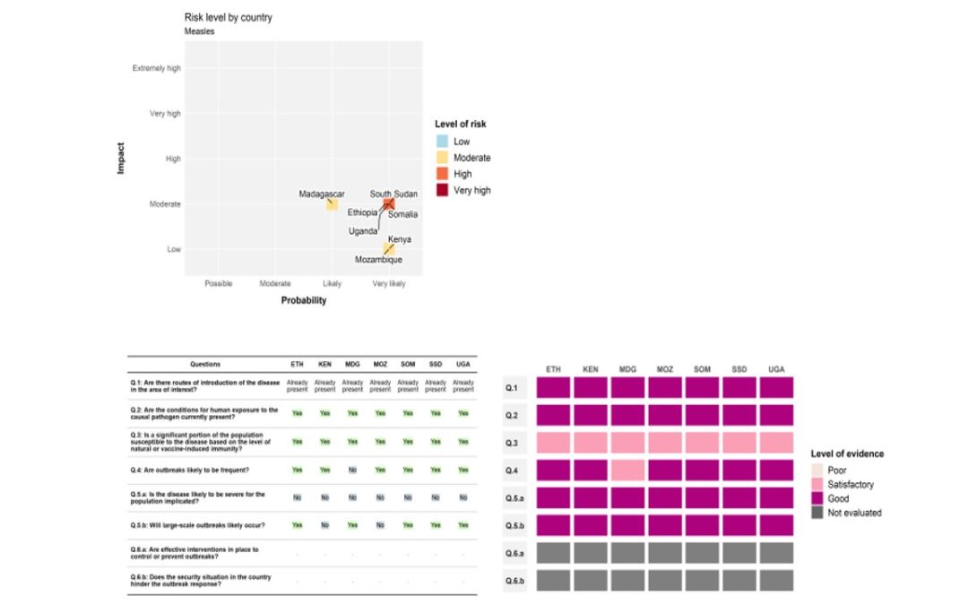 Health systems resilience after major health emergencies