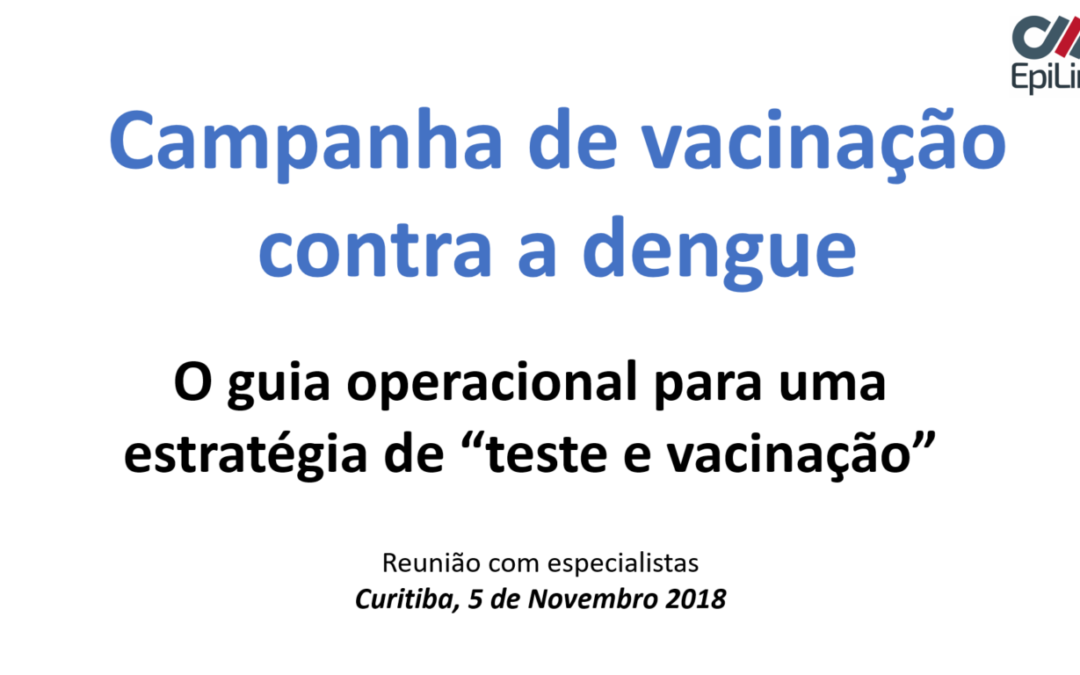 WORKSHOP ON DENGUE VACCINATION IN THE CONTEXT OF A TEST-AND-VACCINATE STRATEGY IN BRAZIL